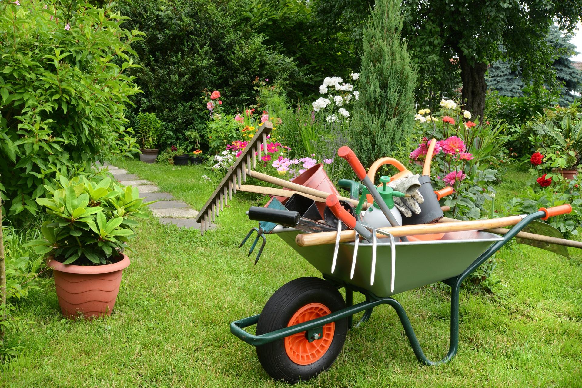 Schubkarre mit Gartengeräten im blühenden Garten | Pflanzkübel transportieren